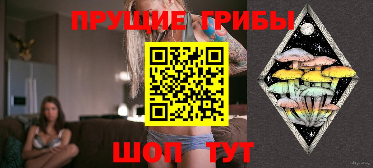 Галлюциногенные грибы Psilocybine cubensis  Вход с VPN  Похвистнево 